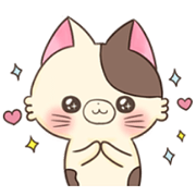 Rice crackers  cat
