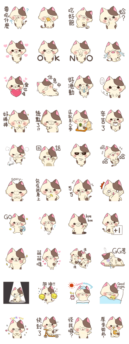 Rice crackers  cat