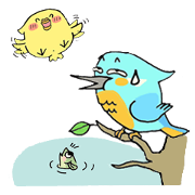 Diary of birds