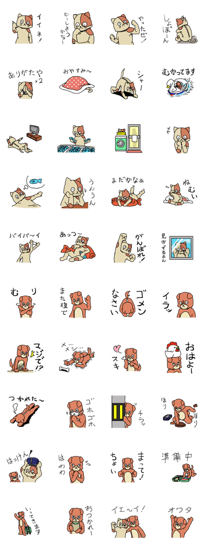 Cats and dogs Daily conversation Sticker