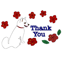Shiba inu KOMACHI