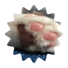 chibi_20200723195852