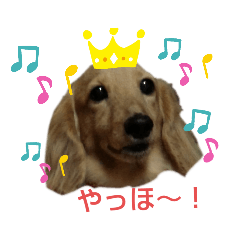 sayuri_20200723203714