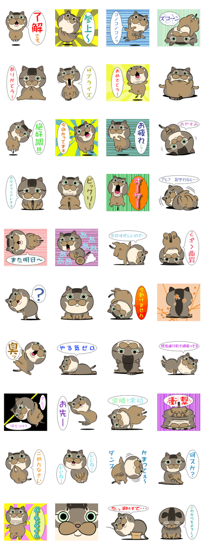 Very loose cat MOHIKUN Part 1