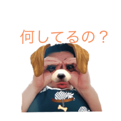 tomomi_20200723234031