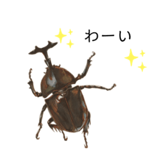 Handwritten beetle stamp
