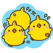 Chick hiyomoko 2