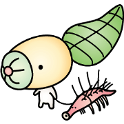 Cambrian life