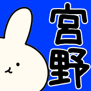 The Miyano!