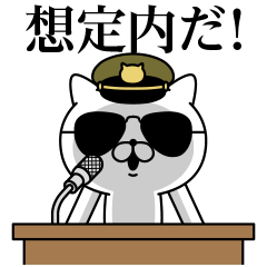 Military cat 3