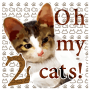 Oh my cat's!2