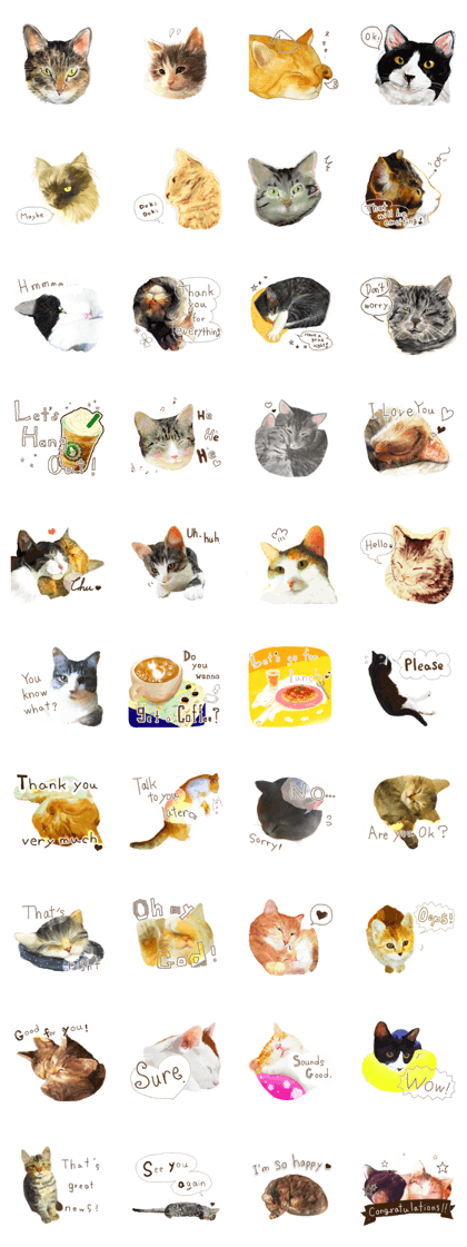 Oh my cat's!2