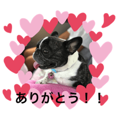 hana_20200723215144