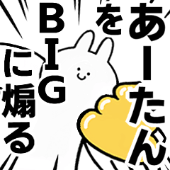 BIG Rabbits feeding [A-tan]