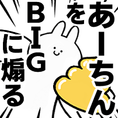 BIG Rabbits feeding [A-chin]