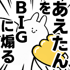 BIG Rabbits feeding [Ae-tan]