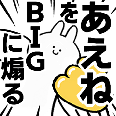 BIG Rabbits feeding [Aene]