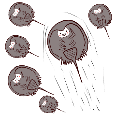 海の生物 カブトガニスタンプ 英語版 Line スタンプ Line Store 海の生物 カブトガニスタンプ 英語版 Line スタンプ Line Store