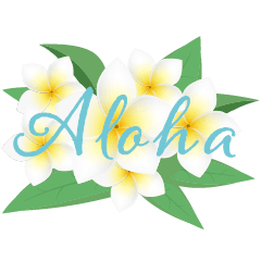 BIG ALOHA HAWAII