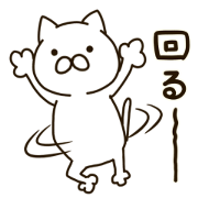 Surota-cat