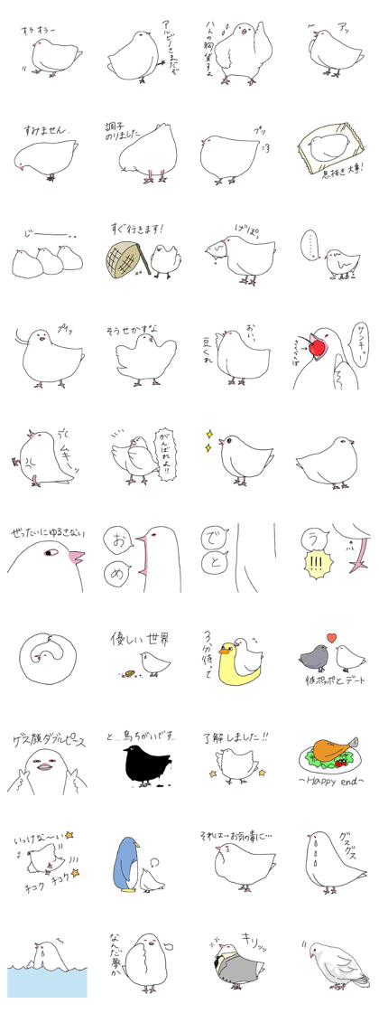 White pigeon
