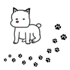White dog daily stamp
