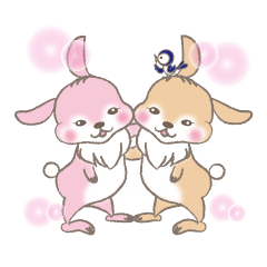 rabbit to rabbit