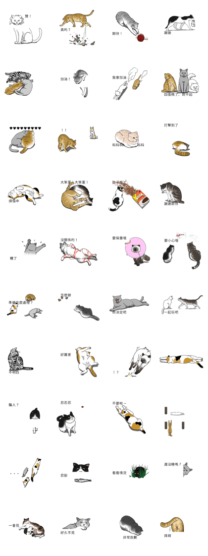 The group of the cat came 2 (TWN)