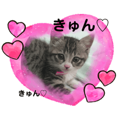 ayumi_20200724011307