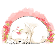 Walk with White Bear