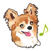 Exciting Chihuahua