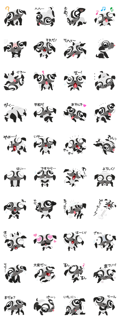 Pug dog GARAPAN