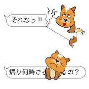 Cook Funny Dog. These Are the Messages.