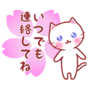 A cat and rabbit