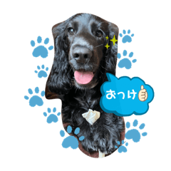 natsumi_20200724121039