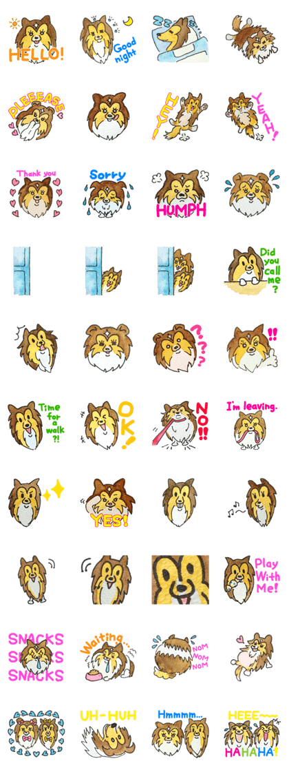 Surprising Shelties (English)