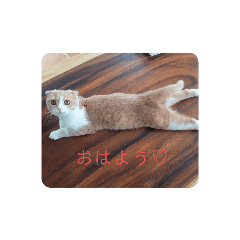 arisa_20200724091507