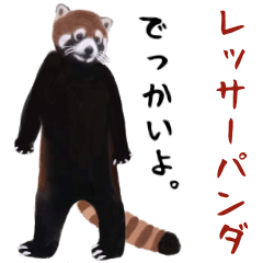 live a life of the lesser panda