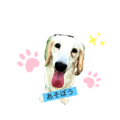 saya_20200724142414