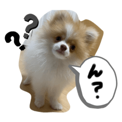 Nozomi_20200724145252