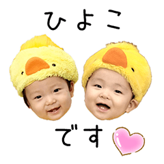 BabyBoysVol.9 ShinyHawk ひよこ Ver