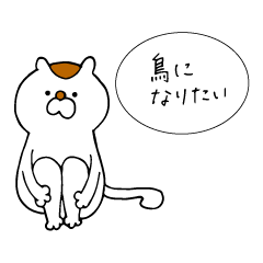 Hanjiro 2 (feline)