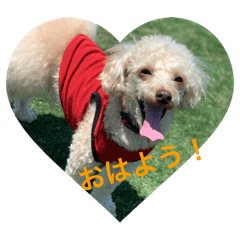 nozomi_20200724192238