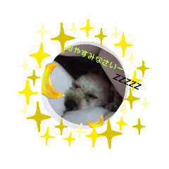 Nakamurahome_20200725090250