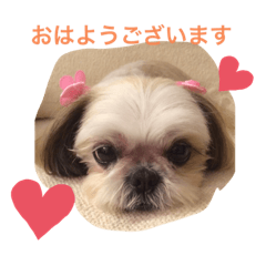 cocoa_20200724193943