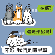 Meow Star to help~~Occupy Chat