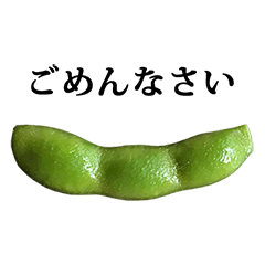 edamame A 2