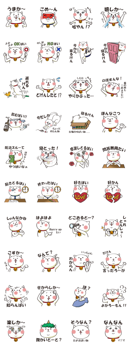 Kyushu cat!!!