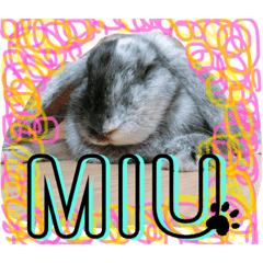 Ringo_20200724213916