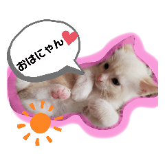 asuka_20200724221745